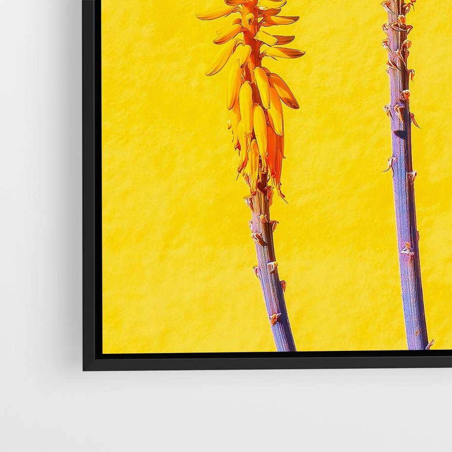 Obraz w ramie 50x50 - Radość Natury - kolor, kwiaty - rama czarna