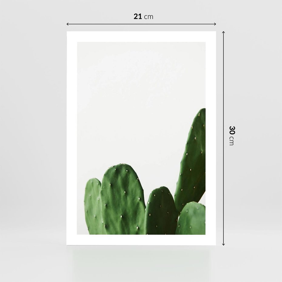 Plakat bez ramy 21x30 - Minimalizm Natury - kaktus, zbliżenie