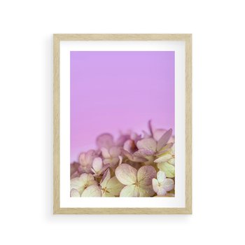 Plakat w ramie 30x40 - Kwiatowa Uroda - kwiaty, hortensje - rama drewno