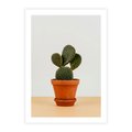 Plakat bez ramy 50x70 - Kwiatowy taniec kaktusa - kaktus, kwiat