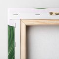 Obraz na płótnie 60x60 - Zielone liście monstery - liście, monstera