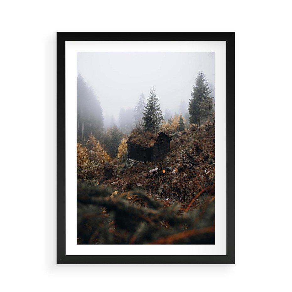 Plakat w ramie 50x70 - Górski las - stary zniszczony domek w górach, góry - rama czarna