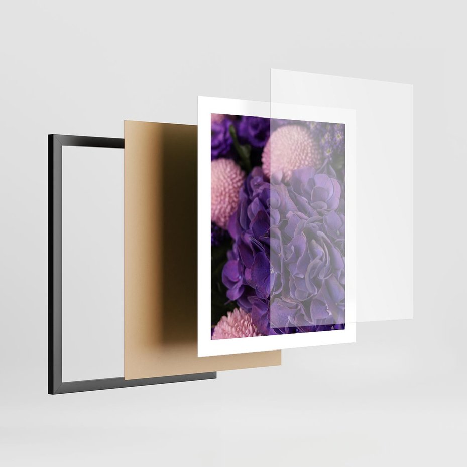 Plakat w ramie 40x50 - Fioletowa hortensja - kwiaty, hortensja - rama czarna