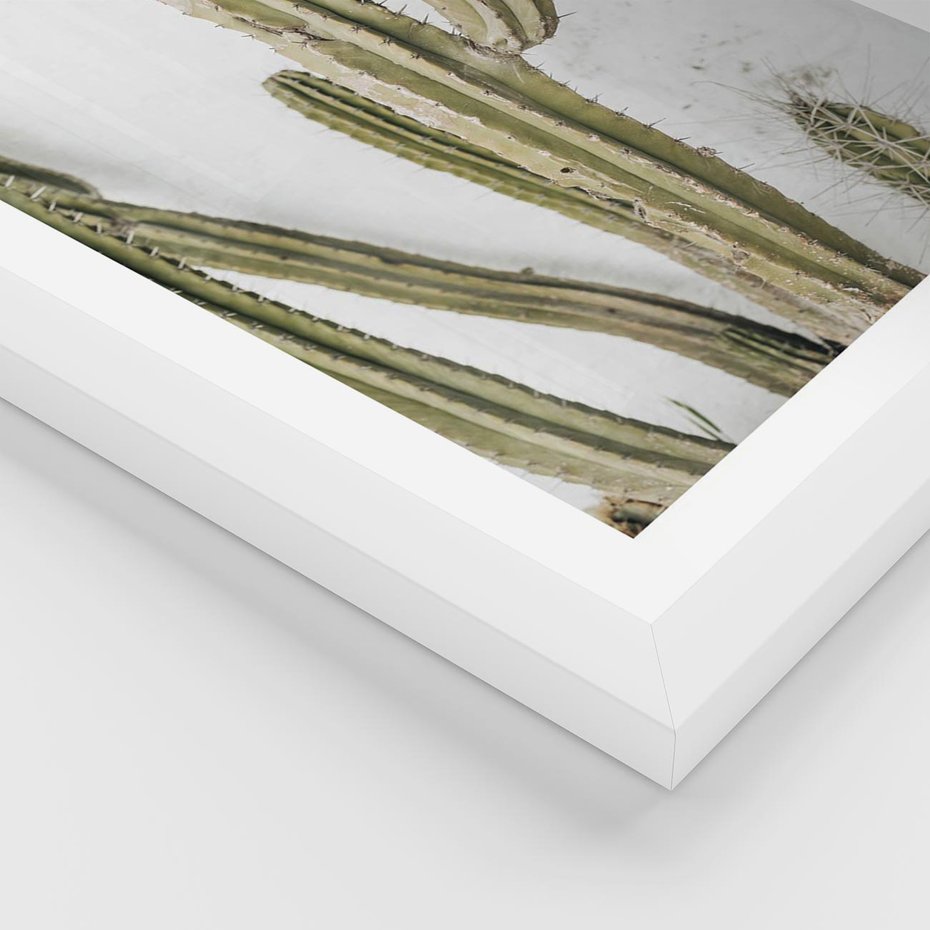Plakat w ramie 40x50 - Kaktus w Stylu Boho - kaktus, roślina tropikalna - rama biała