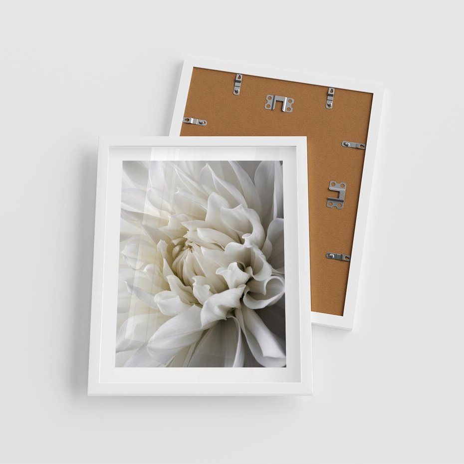 Plakat w ramie 40x50 - Białe Kwiaty Delikatności - białe, kwiaty - rama biała