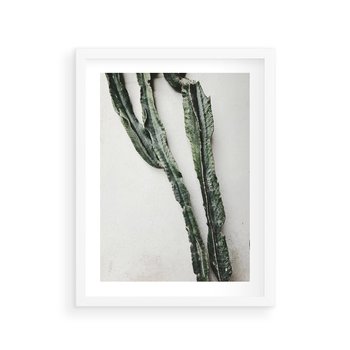 Plakat w ramie 40x50 - Zielona Roślina z Liśćmi - zielona roślina, liście - rama biała