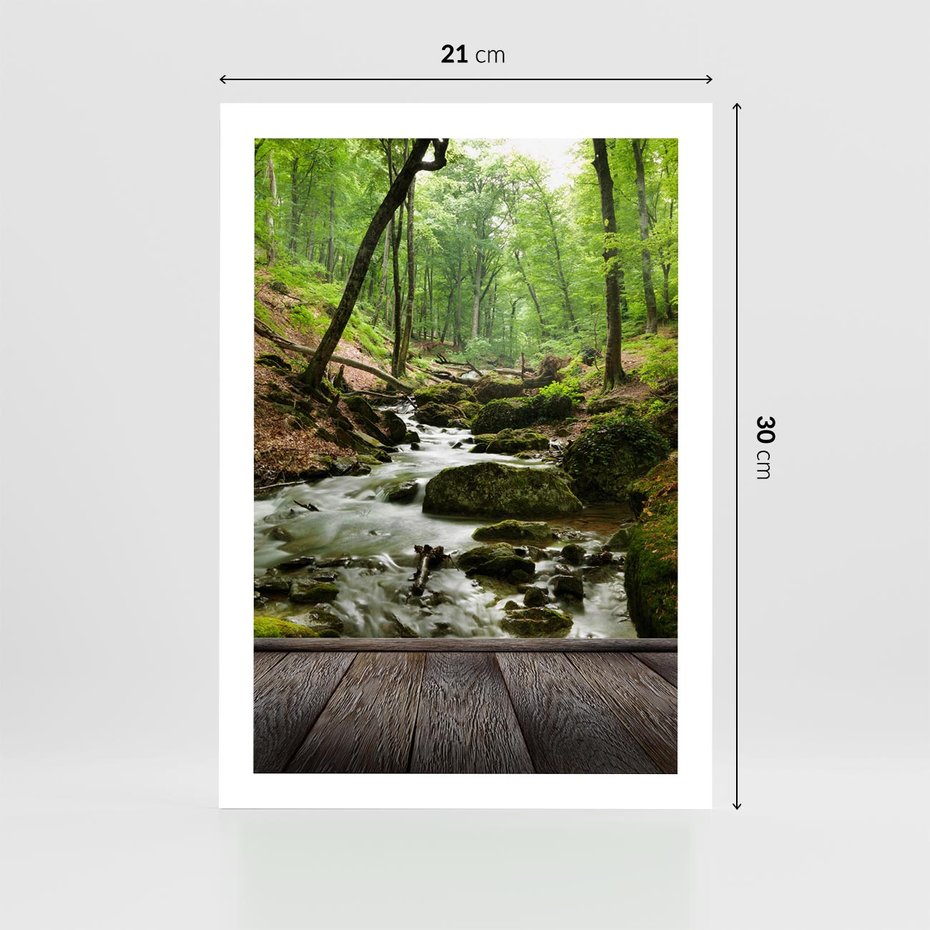 Plakat bez ramy 21x30 - Strumyk w lesie - strumyk, w lesie