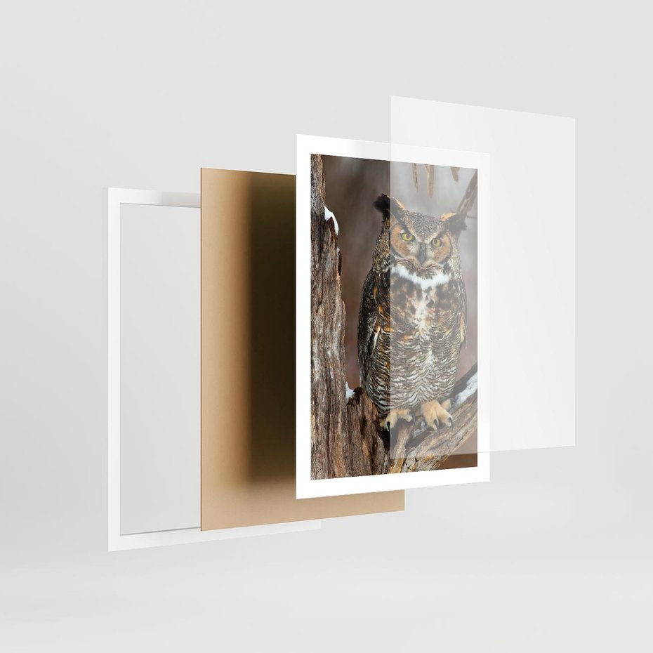 Plakat w ramie 50x70 - Tajemniczy Stróż - sowa, las - rama biała