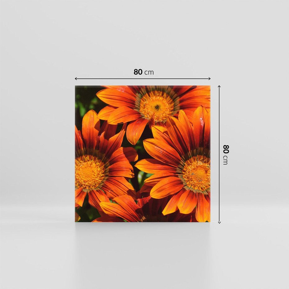 Obraz na płótnie 80x80 - Kwiatowa Esencja - kwiat, kwiaty