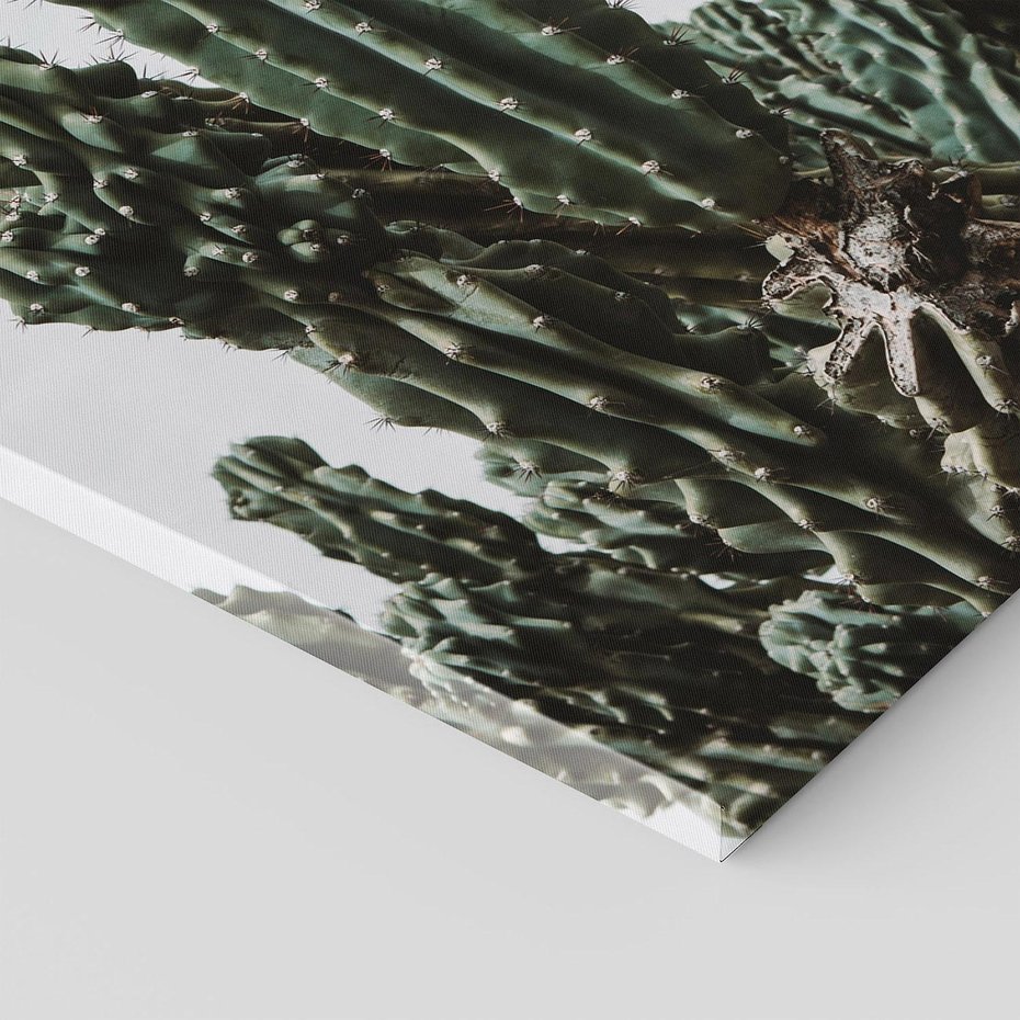 Obraz na płótnie 80x120 - Boho oaza wśród kaktusów - kaktusy, pustynia