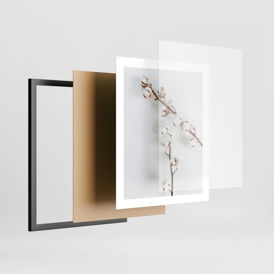 Plakat w ramie 40x50 - Gałęzie Bawełny na Białym Tle - gałęzie bawełny na białym tle, minimalizm - rama czarna