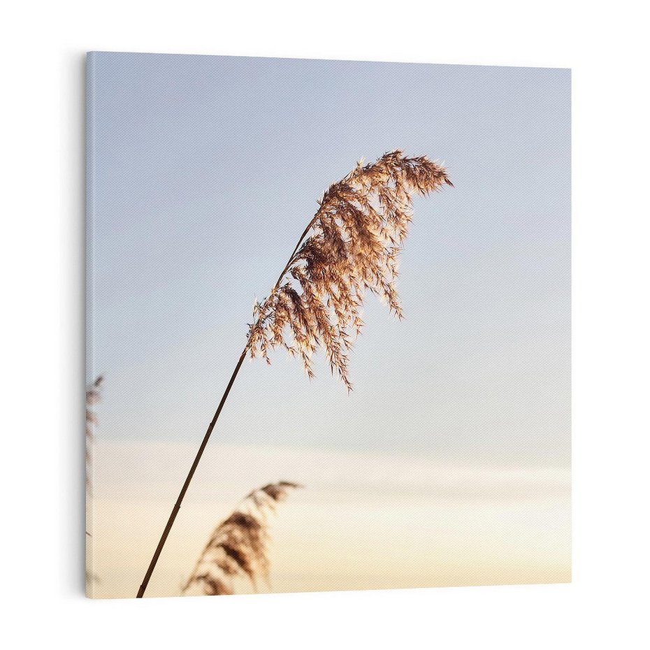 Obraz na płótnie 70x70 - Naturalna Delikatność - trawy, boho