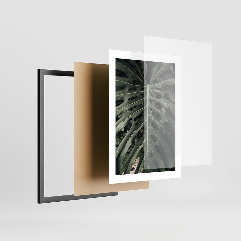 Plakat w ramie 30x40 - Majestatyczny Liść Monstery - liść monstery, majestatyczny liść - rama czarna