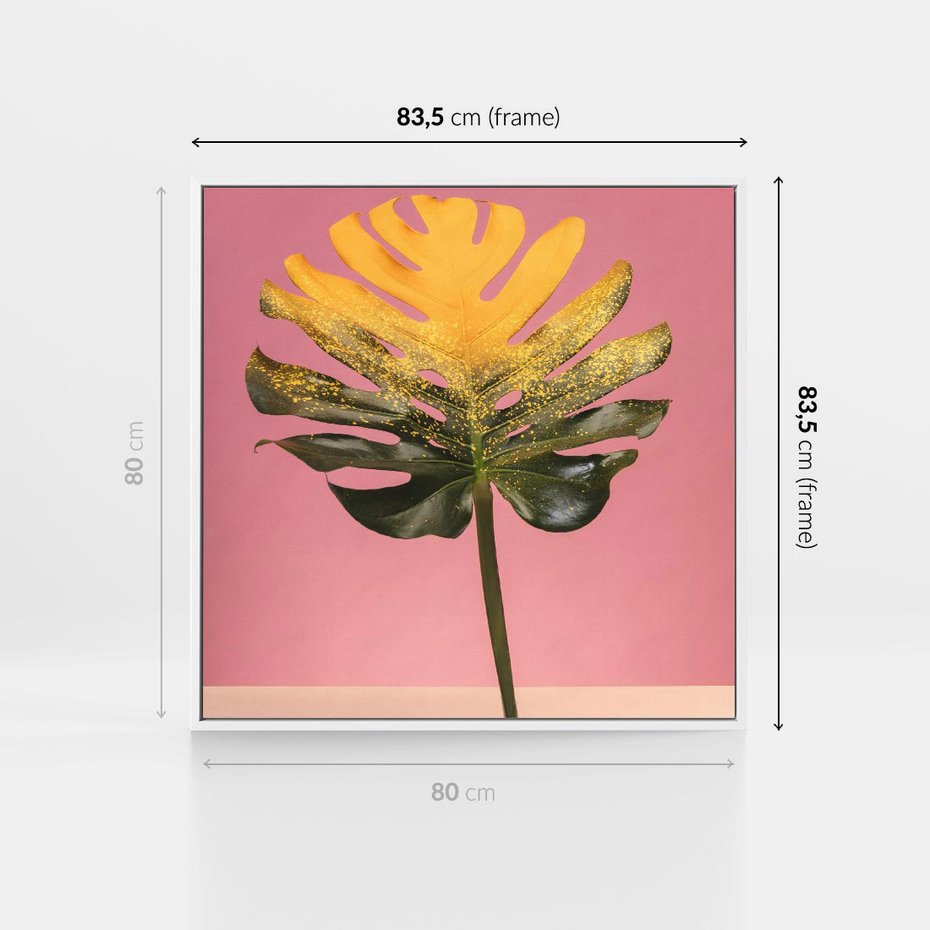 Obraz w ramie 80x80 - Majestatyczna monstera - monstera, liść - rama biała