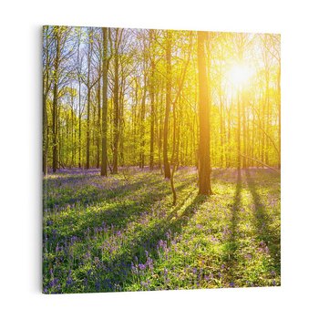 Obraz na płótnie 40x40 - Uroda lasu: harmonia drzew - las, drzewa