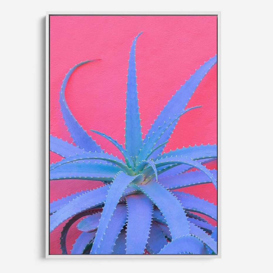 Obraz w ramie 70x100 - Piękno Pustyni - kaktusy, liście - rama biała