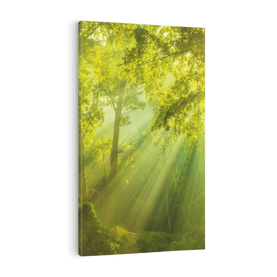Obraz na płótnie 80x120 - drzewa w harmonii - las, drzewa