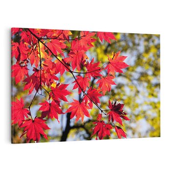 Obraz na płótnie 70x50 - Jesienny Urok Drzewa i Opadających Liści - drzewo, liście