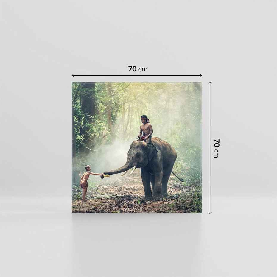 Obraz na płótnie 70x70 - Azja słońce wśród lasu - Azja, słoń