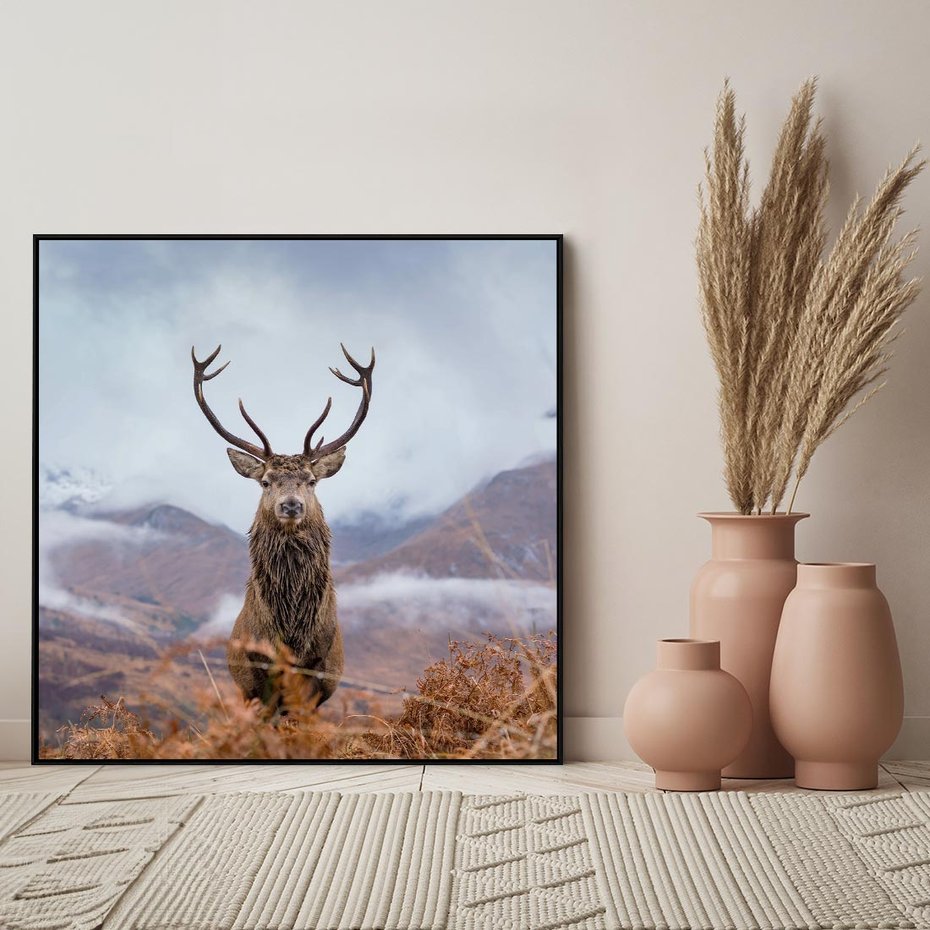 Obraz w ramie 50x50 - Jeleń w Uśpionym Krajobrazie - jeleń na tle gór, ośnieżone góry - rama czarna