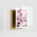 Plakat w ramie 40x50 - Kwitnąca Wiśnia - kwiaty, kwitnąca - rama biała