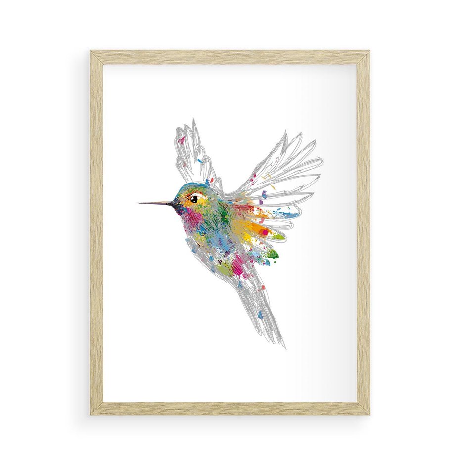 Plakat w ramie 50x70 - Koliber w akwareli - akwarela, koliber - rama drewno