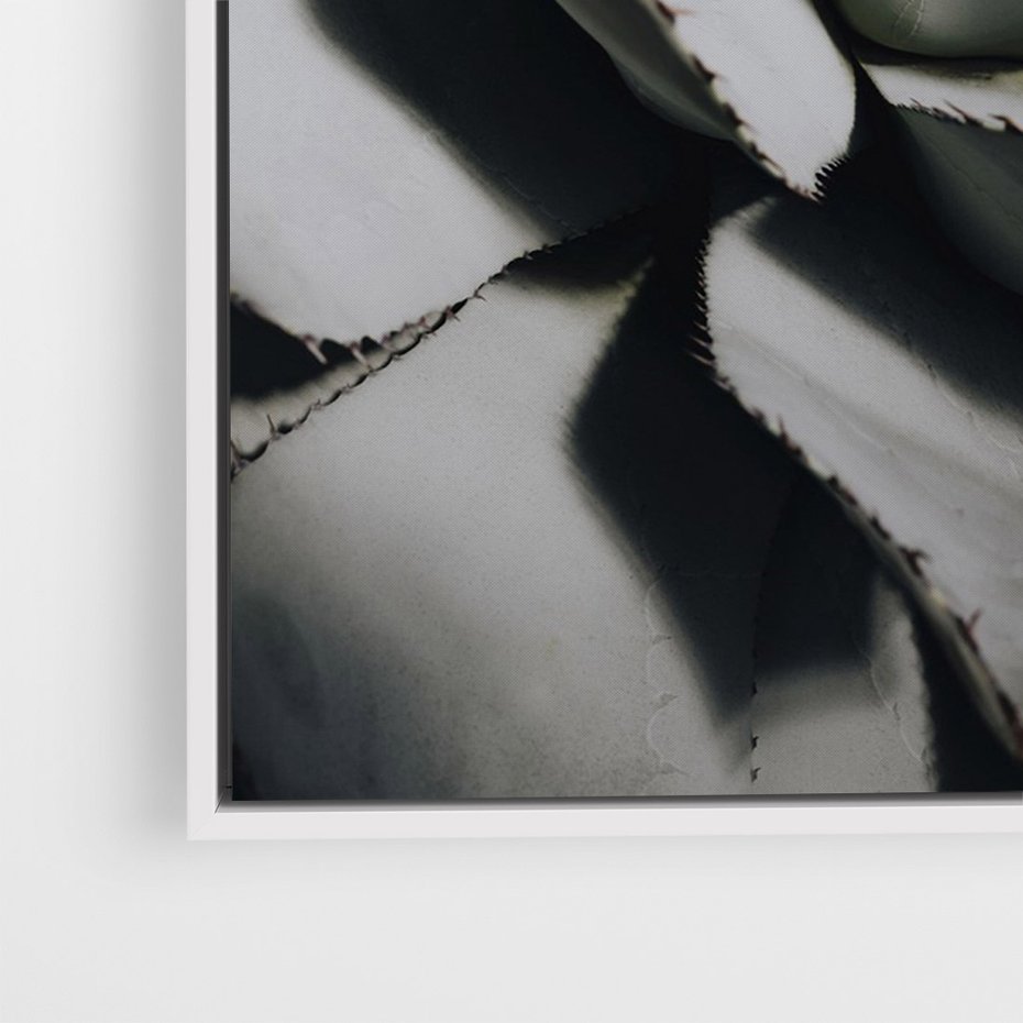 Obraz w ramie 80x120 - Sukulenty wśród kaktusów - sukulenty, kaktusy - rama biała