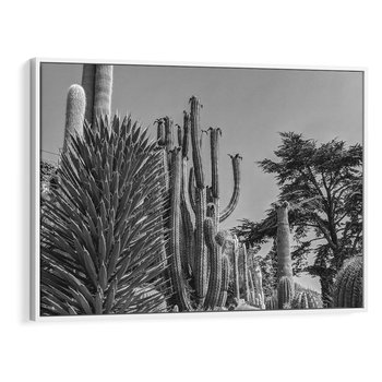 Obraz w ramie 120x80 - Pustynny Klimat - czarno białe zdjecie, pustynia - rama biała