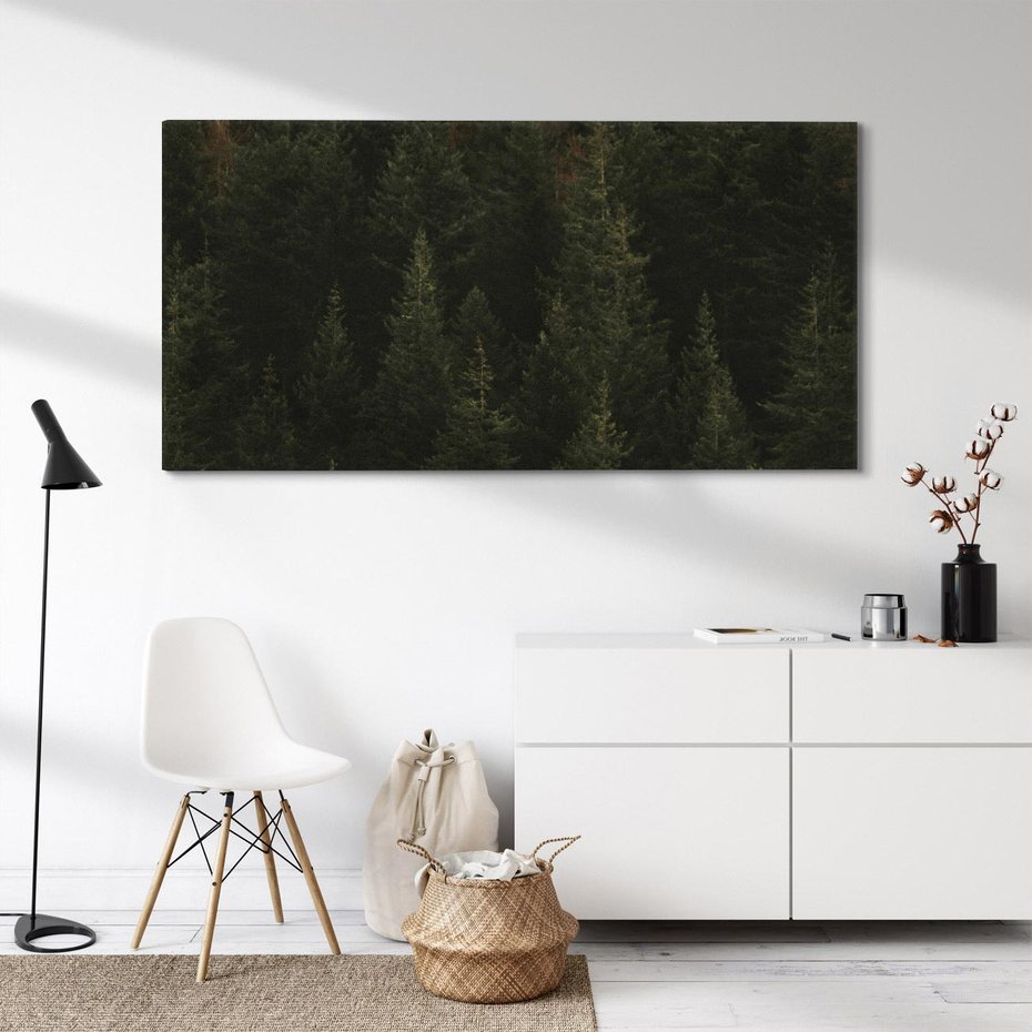 Obraz na płótnie 120x60 - Ciemny las iglasty - las, iglasty