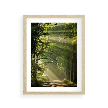 Plakat w ramie 30x40 - harmonia natury - las, drzewa - rama drewno