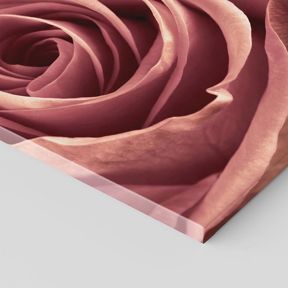 Obraz na płótnie 70x70 - Romantyczna Róż - róża, kwiat