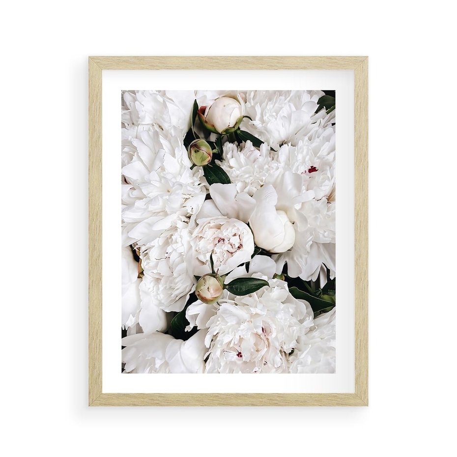 Plakat w ramie 40x50 - Modne Białe Kwiaty - białe kwiaty, płatki - rama drewno