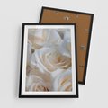 Plakat w ramie 50x70 - Białe róże piękności - białe, róże - rama czarna
