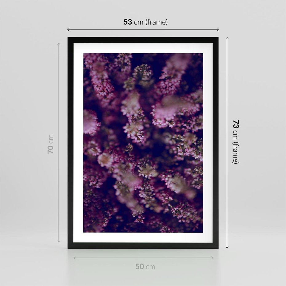 Plakat w ramie 50x70 - Wrzosowa Delikatność - wrzosy, kwiaty - rama czarna