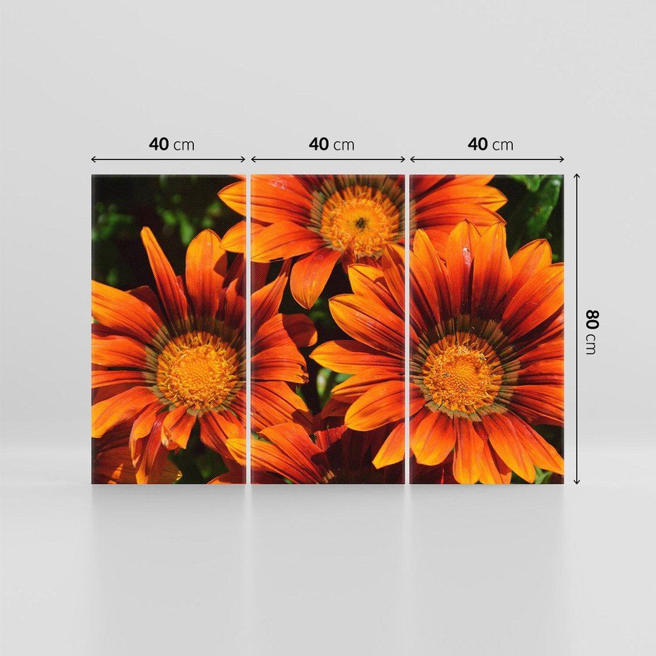 Obraz na płótnie 120x80 - Kwiatowa Esencja - kwiat, kwiaty