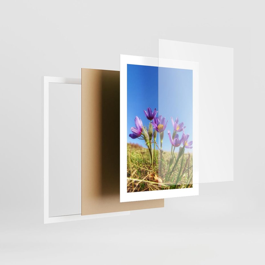 Plakat w ramie 30x40 - Kwiatowa siła łąki - kwiaty, łąka - rama biała