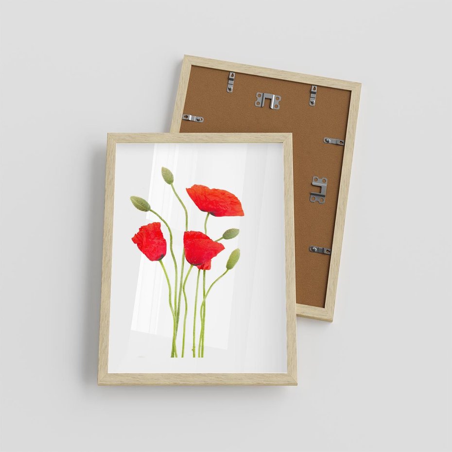 Plakat w ramie 30x40 - Pola maków w pełnym kolorze - maki, kwiaty - rama drewno