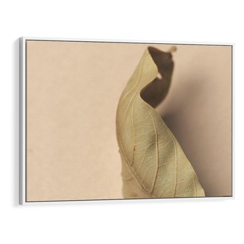 Obraz w ramie 120x80 - Boho suszone liście - suszony, liść - rama biała