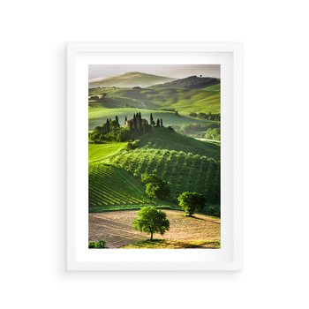 Plakat w ramie 30x40 - Prowansja: malownicze winnice w kraju Włoch - Prowansja, Włochy - rama biała