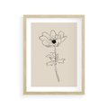 Plakat w ramie 30x40 - Przenikający Dialog - szkic kwiatu, mnimalistyczny szkic - rama drewno