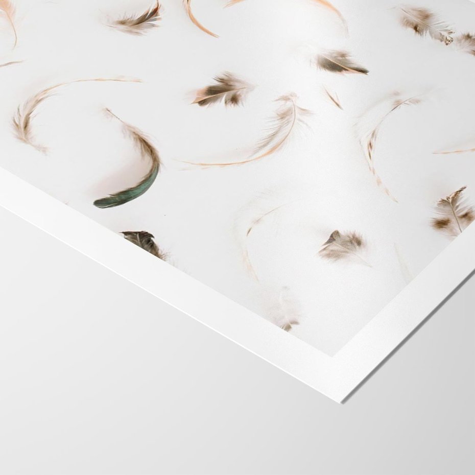 Plakat bez ramy 21x30 - Kompozycja z Piór - pióra, kompozycja