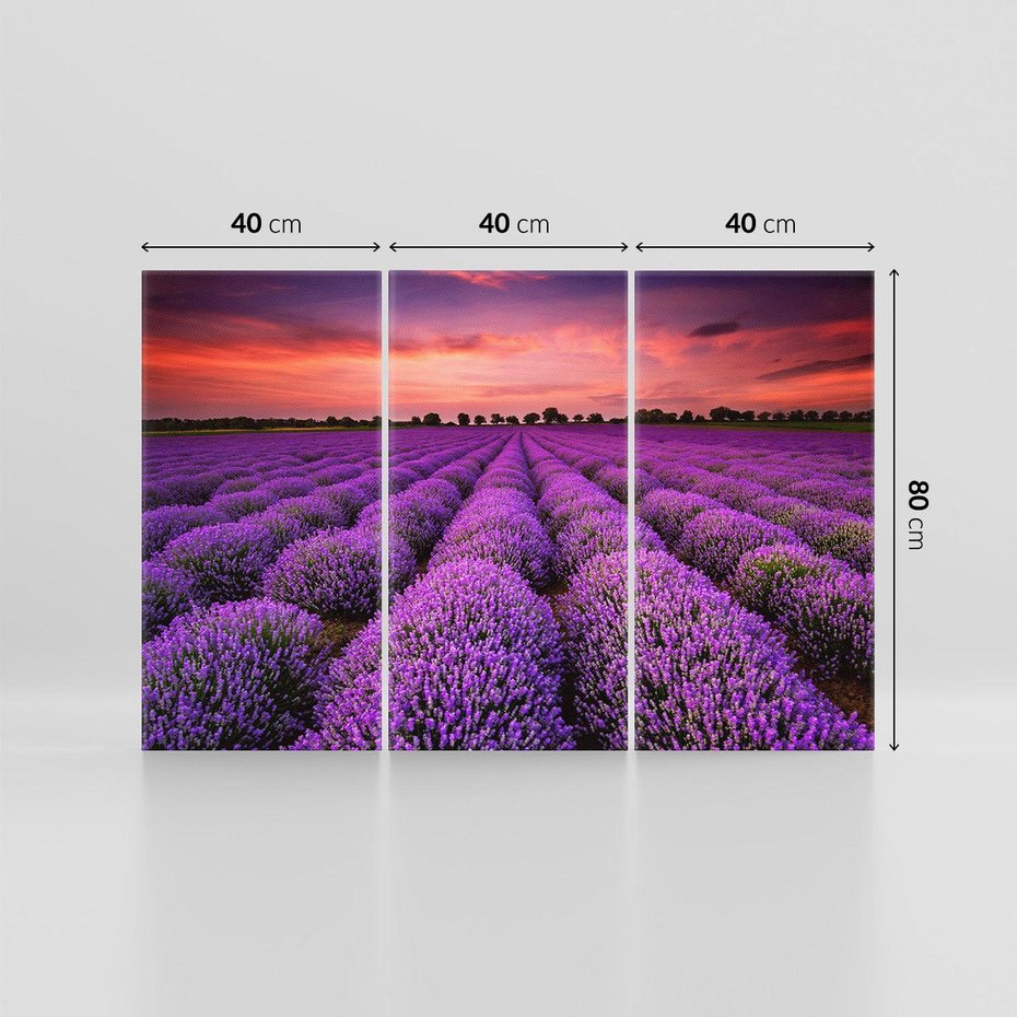 Obraz na płótnie 120x80 - Lawenda: polne zauroczenie - lawenda, kwiaty