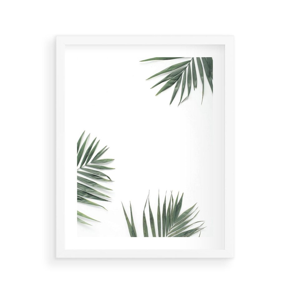 Plakat w ramie 40x50 - Liście Palmy na Czystym Tle - liście palmy, białe tło - rama biała