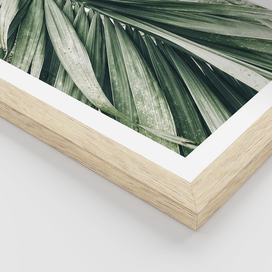 Plakat w ramie 30x40 - Spokojna Piękność Palmowych Liści - palma, liście palmy - rama drewno