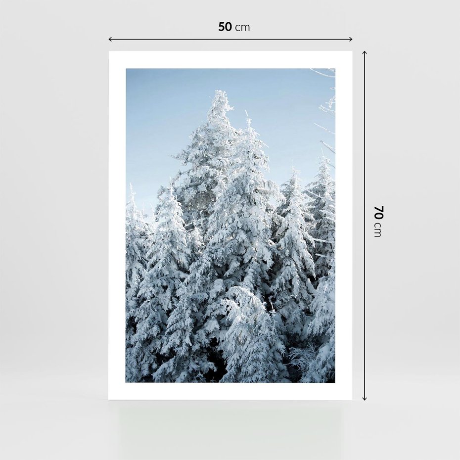 Plakat bez ramy 50x70 - Magia Śnieżnych Drzew - zima, iglaste drzewa