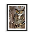 Plakat w ramie 50x70 - Tajemniczy Stróż - sowa, las - rama czarna