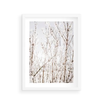 Plakat w ramie 30x40 - Szron na Gałęziach - ośnieżone gałązki, szron na gałęziach - rama biała