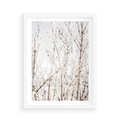 Plakat w ramie 50x70 - Szron na Gałęziach - ośnieżone gałązki, szron na gałęziach - rama biała