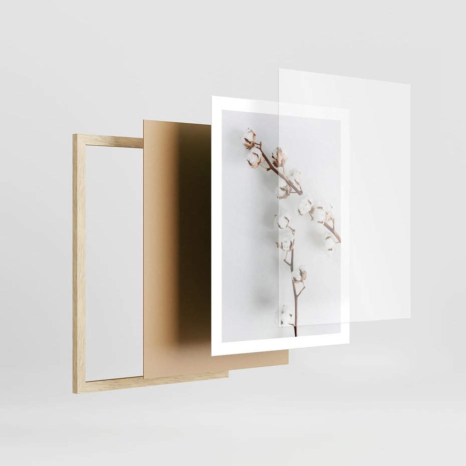 Plakat w ramie 50x70 - Gałęzie Bawełny na Białym Tle - gałęzie bawełny na białym tle, minimalizm - rama drewno