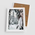 Plakat w ramie 50x70 - Drzewa pod Śniegiem - zima las, drzewa pod śniegiem - rama biała